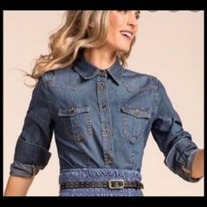 CAbi McQueen denim shirt